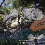 Nitrodi sull'isola d'Ischia